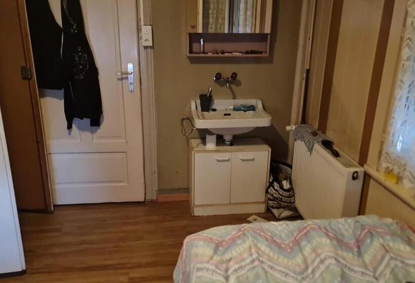 Одноместный Номер Basic, Guest House