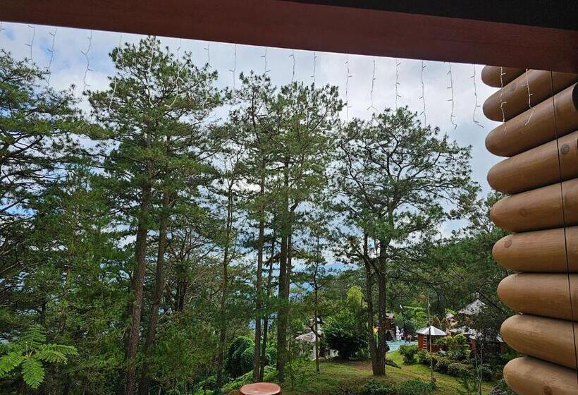 سوییت لوکس, Baguio Forest Lodge At Camp John Hay 004