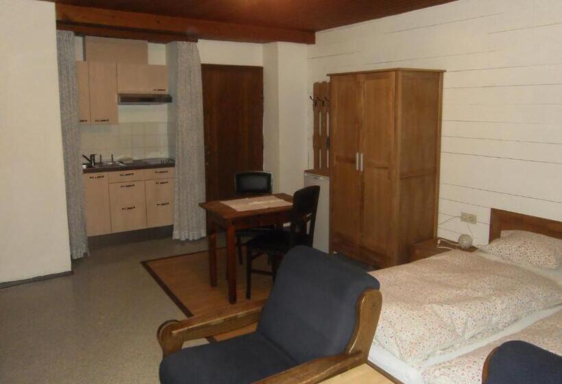 Студио Стандарт с Балконом, Binderhof