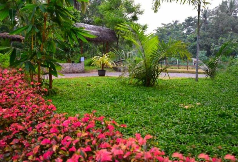 디럭스 룸, Green View Safari Paradise