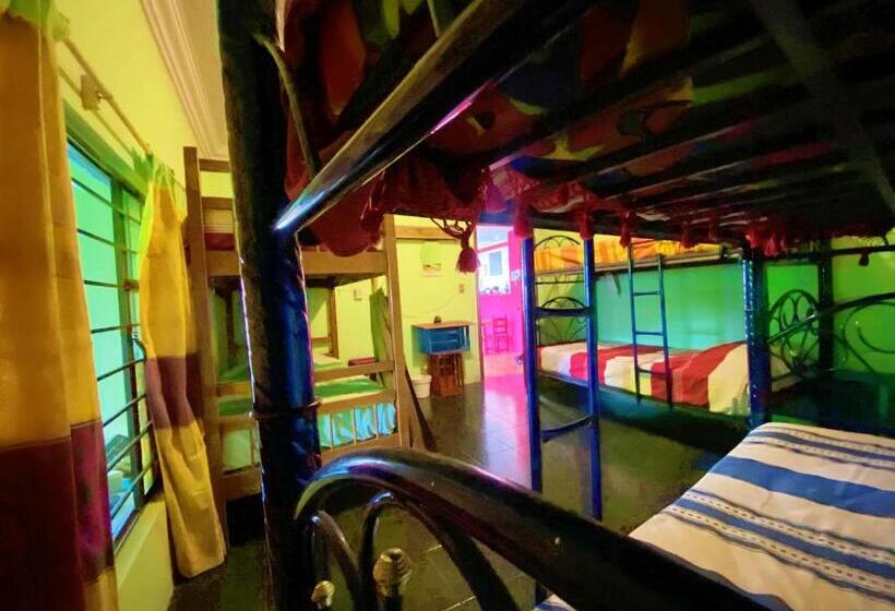 اتاق خانوادگی, Casa El Mundo