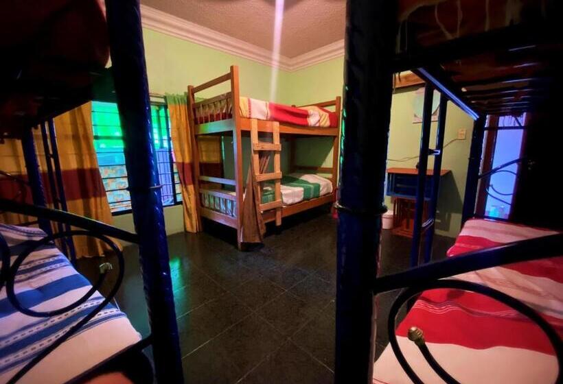 اتاق خانوادگی, Casa El Mundo
