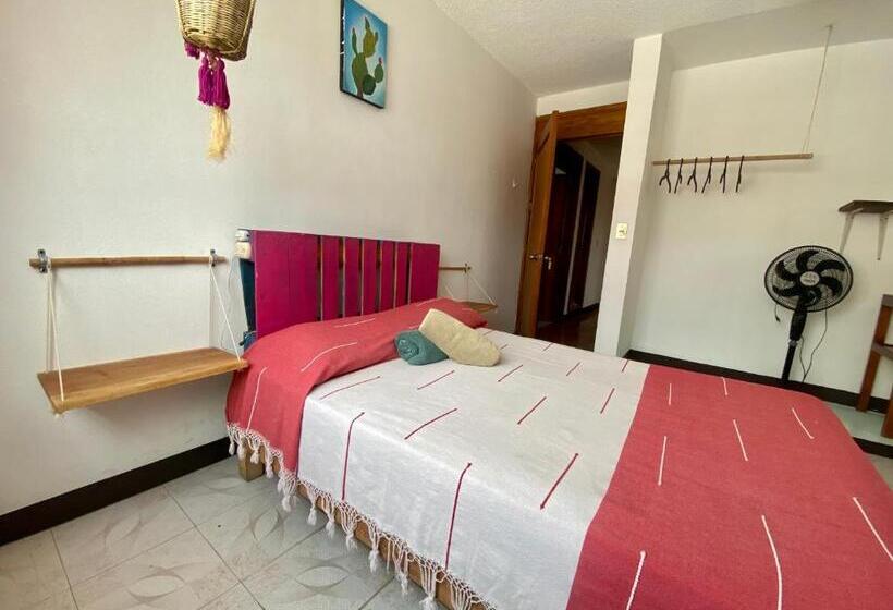 اتاق استاندارد, Casa El Mundo