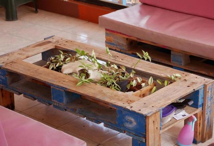 ویلای سوپریور 1 خوابه, Casa El Mundo