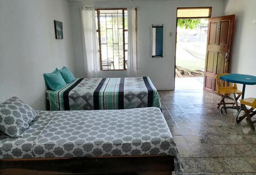 اتاق اکونومی, Palmera Rooms Caribe