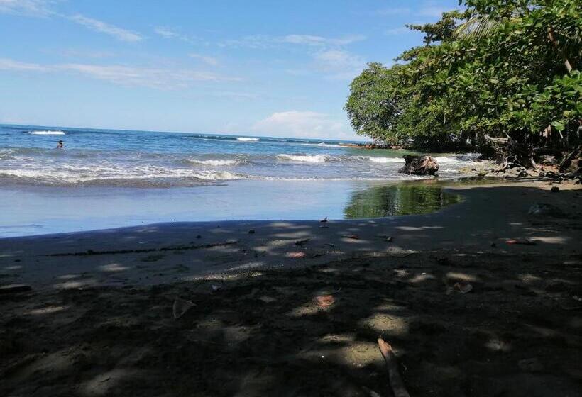 اتاق استاندارد, Palmera Rooms Caribe