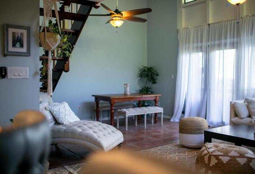 آپارتمان 1 خوابه با بالکن, Cruz Bay Tropical Condo