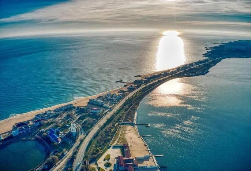 Номер Стандарт, Anca
