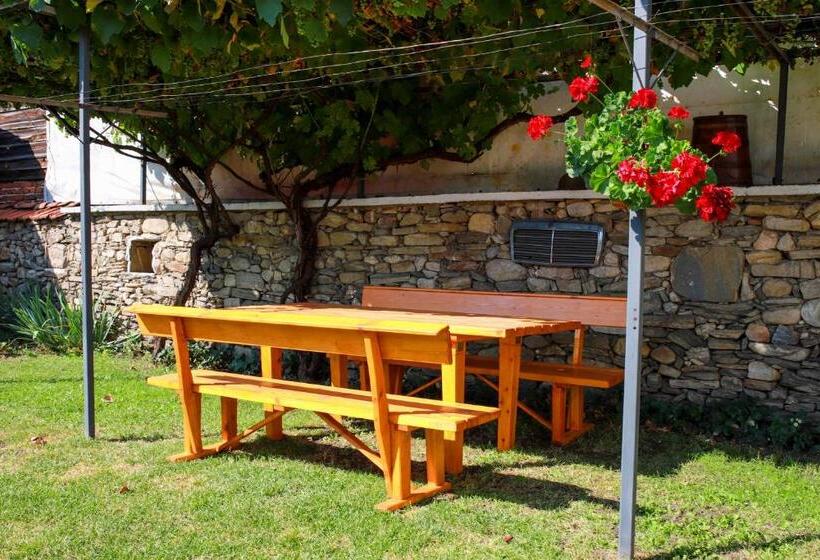 Дом 1 Спальня, Guest House Dorkos