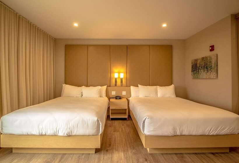 Номер Стандарт 2 Двуспальные Кровати, The Chandler At White Mountains, An Ascend Hotel Collection Membe