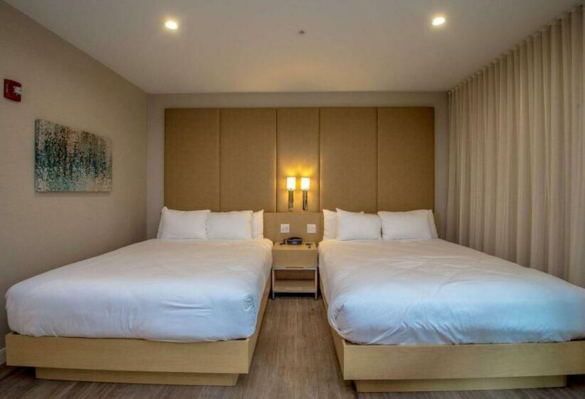 Номер Стандарт 2 Двуспальные Кровати, The Chandler At White Mountains, An Ascend Hotel Collection Membe