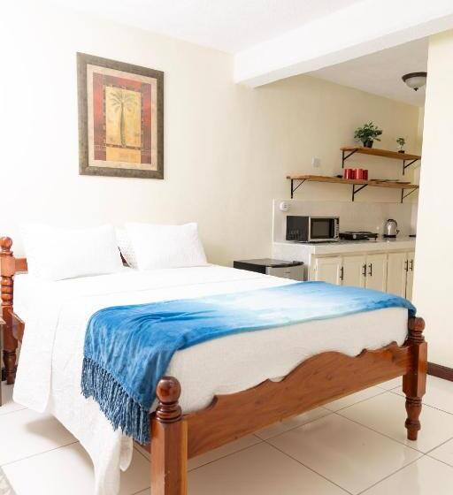 استودیوی استاندارد, La Maison 29