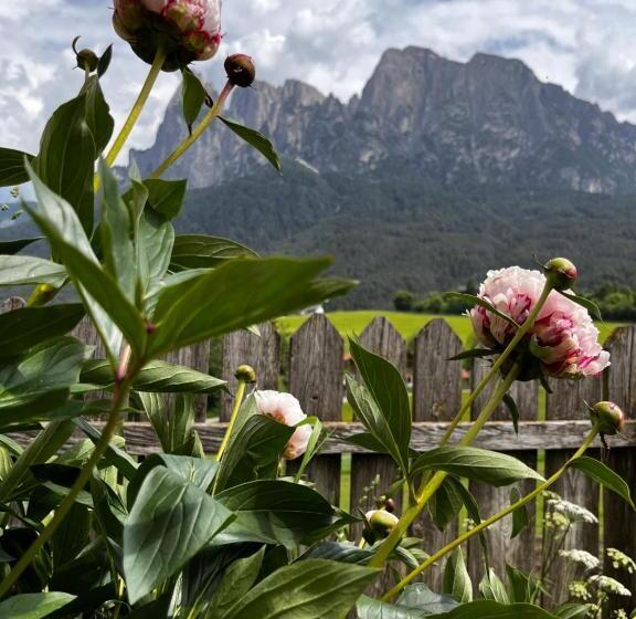 Люкс Кровать Кинг, Mesnerhof My Paradise