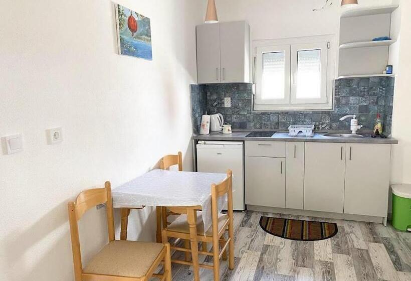 اتاق خانوادگی, Apartmani I Sobe Radojičić