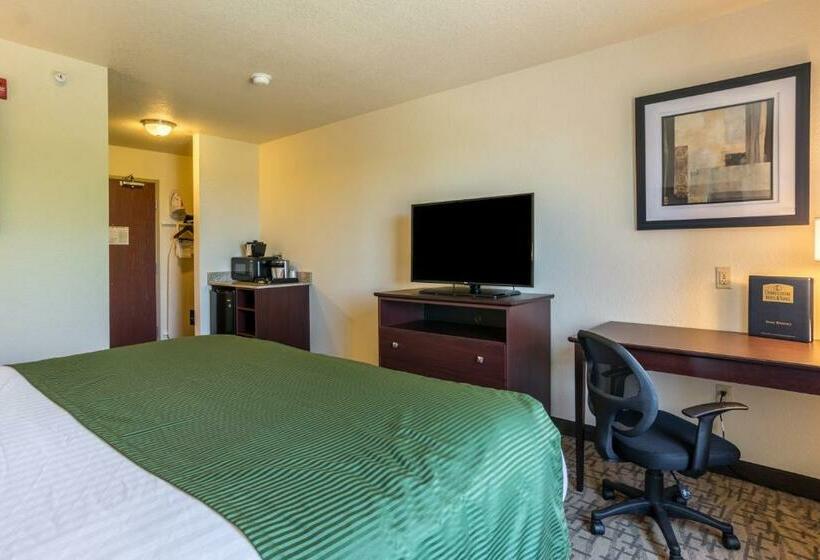 Номер Стандарт Кровать Кинг Адаптированный для Инвалидов, Cobblestone Hotel & Suites   Erie