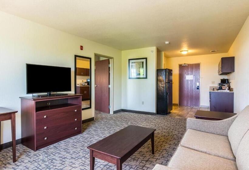 Люкс, Cobblestone Hotel & Suites   Erie