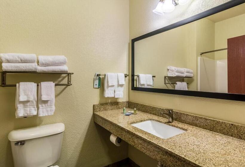 Номер Стандарт, Cobblestone Hotel & Suites   Erie