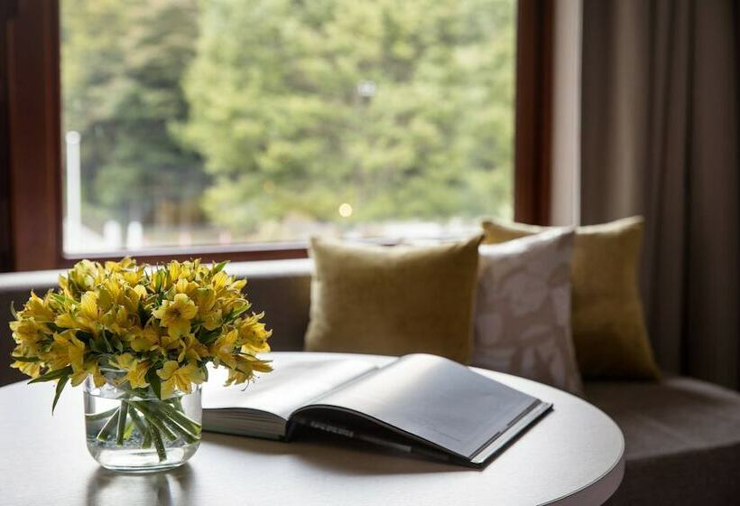 غرفة سوبيريور, Karuizawa Marriott