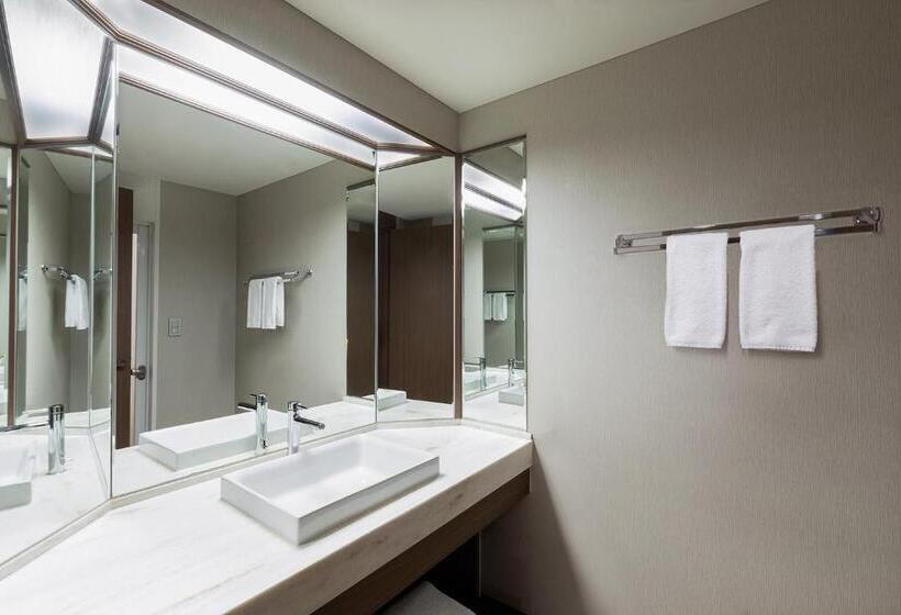 Номер Стандартный с Видом, Karuizawa Marriott