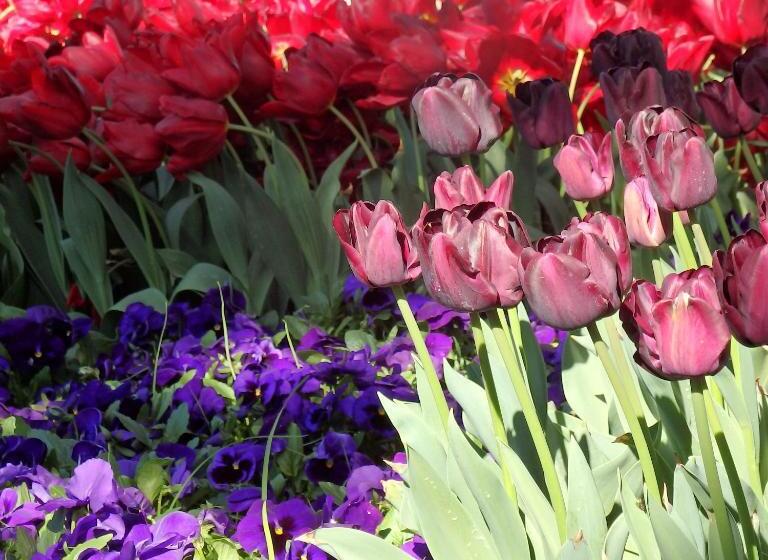 스위트 킹사이즈 침대, Bowral Road Art Gallery Bed And Breakfast