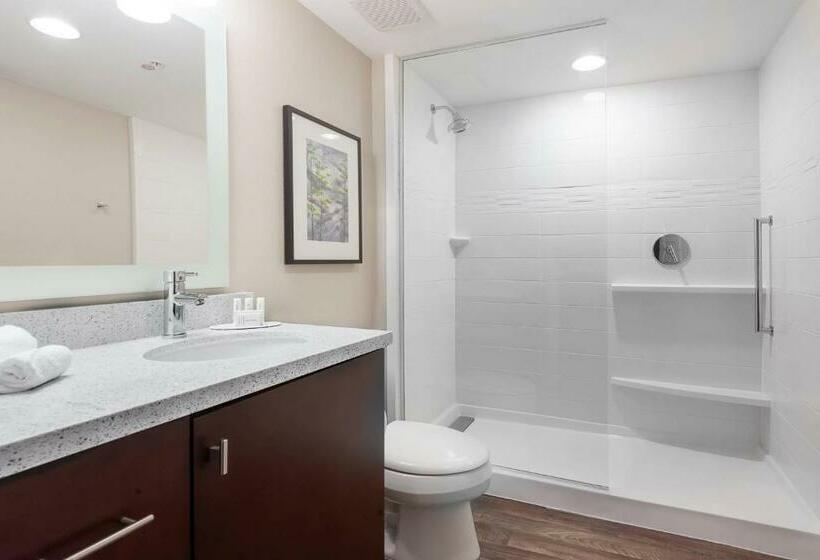 Студио Стандарт Кровать Кинг, Towneplace Suites By Marriott Austin Parmer/tech Ridge