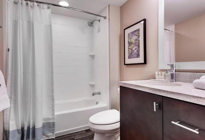 Люкс Кровать Квин, Towneplace Suites By Marriott Austin Parmer/tech Ridge