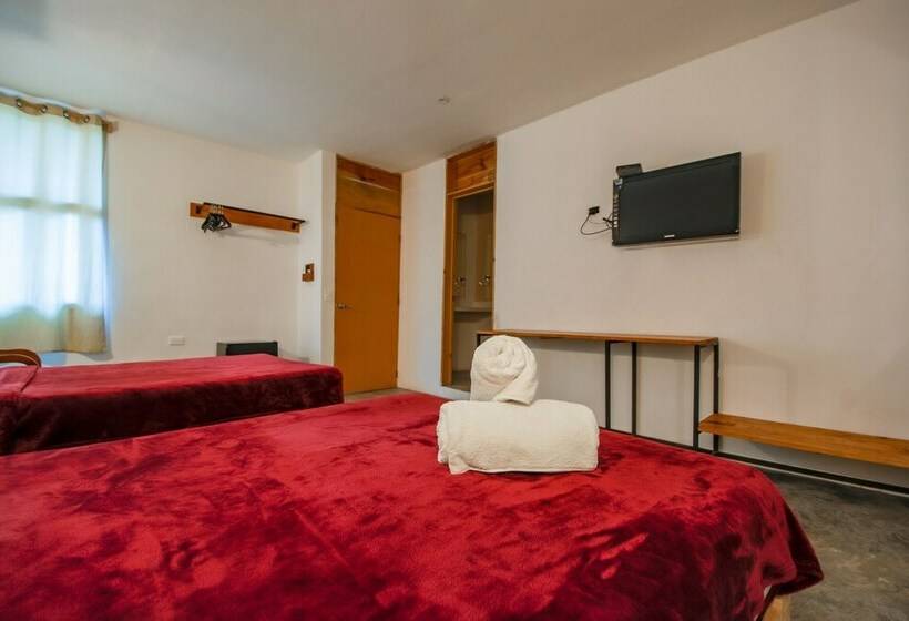 Standardzimmer 2 Doppelbetten, Vsi