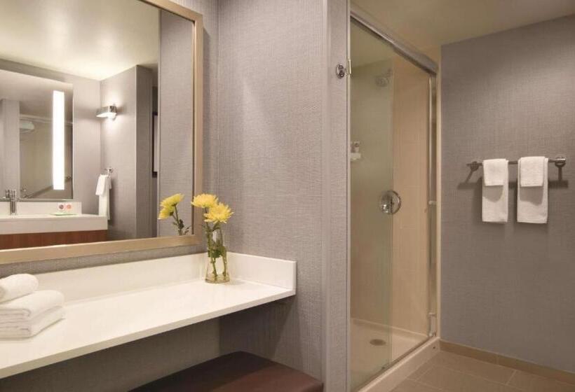 Quarto Standard Cama King, Hyatt Place Chicago Ohare Airport