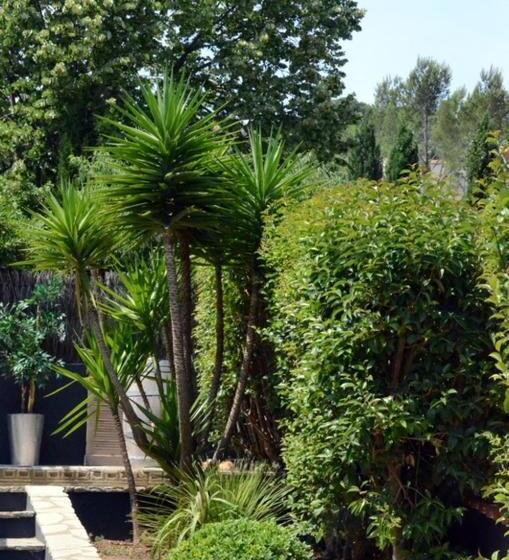 اتاق استاندارد با چشم‌انداز باغ, Les Jardins De Galicia