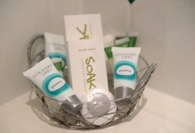 스탠다드 룸, Hibiscus Lodge Bed & Breakfast