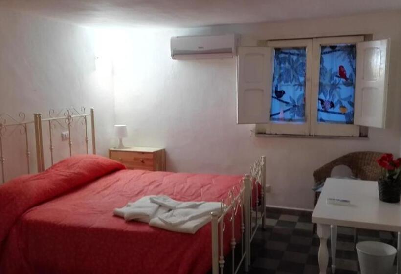 آپارتمان اکونومی 1 خوابه, Le Coccole