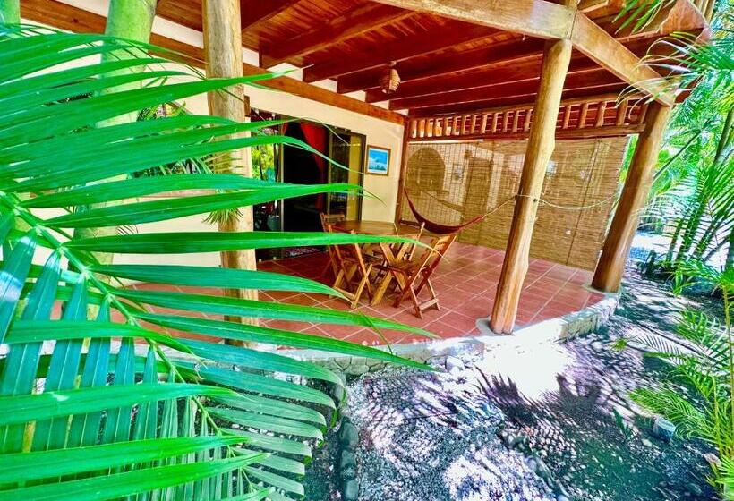 스탠다드 스튜디오 풀장 전망, Pacifica Surf Studios