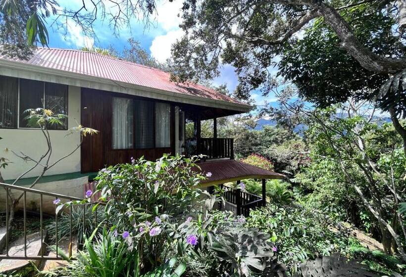 بنجلو قياسى, Villas De La Colina