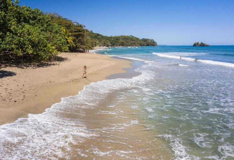 Номер Базовый Совметсный Санузел, Playa 506 Beachfront Hostel