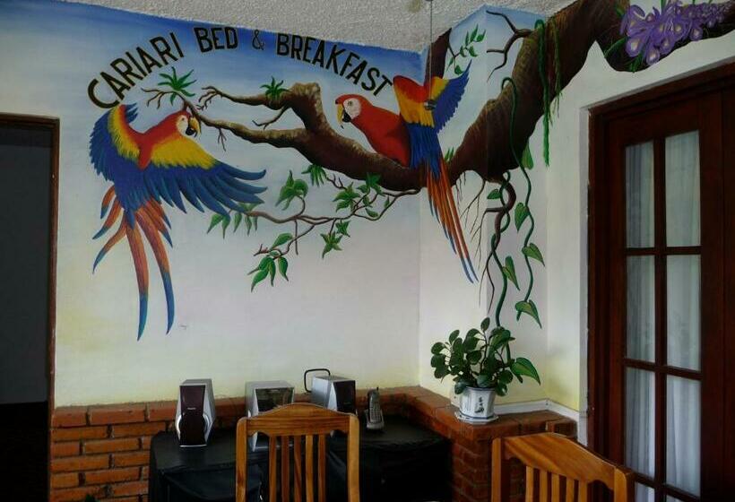 Королевский Номер, Cariari Bed & Breakfast