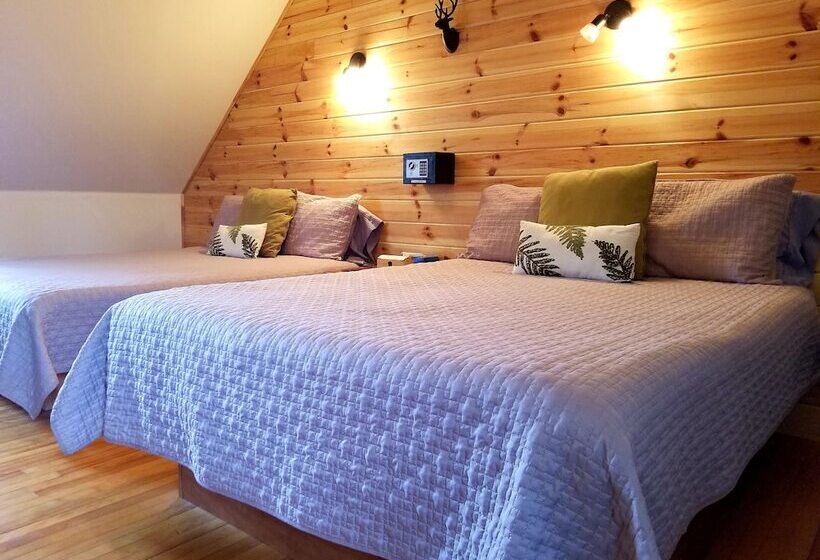 Номер Стандарт Совместная Ванная, Auberge Le P Tit Bonheur   Hostel