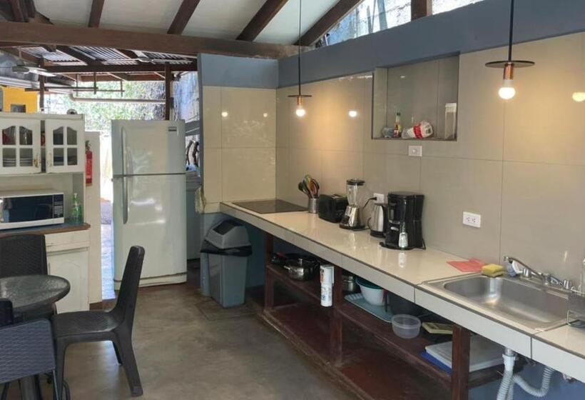 이코노미 룸, Villas Macondo