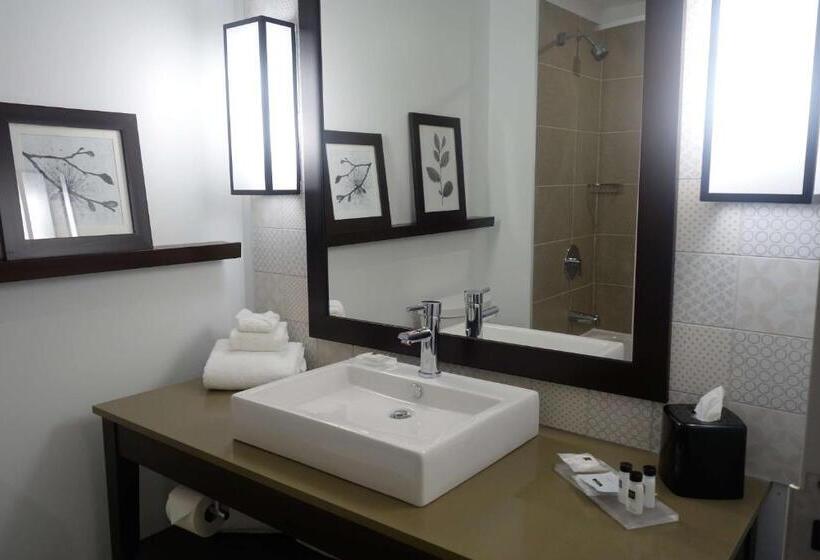 Номер Стандарт, Country Inn & Suites By Radisson, Belleville, On