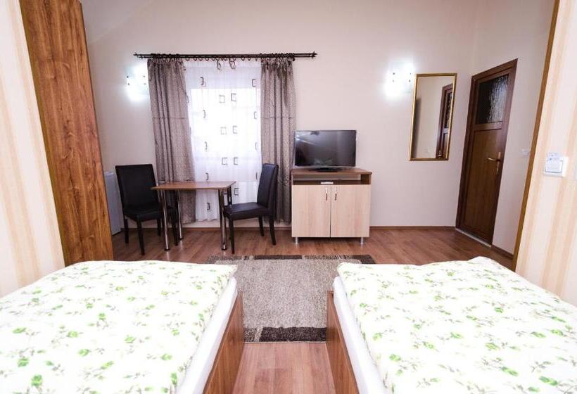 스탠다드 룸, Camere Apartament Steyna