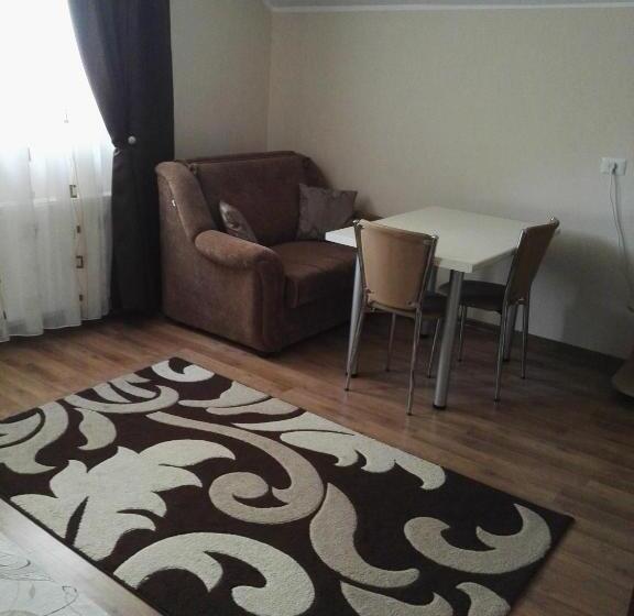 스탠다드 룸, Camere Apartament Steyna