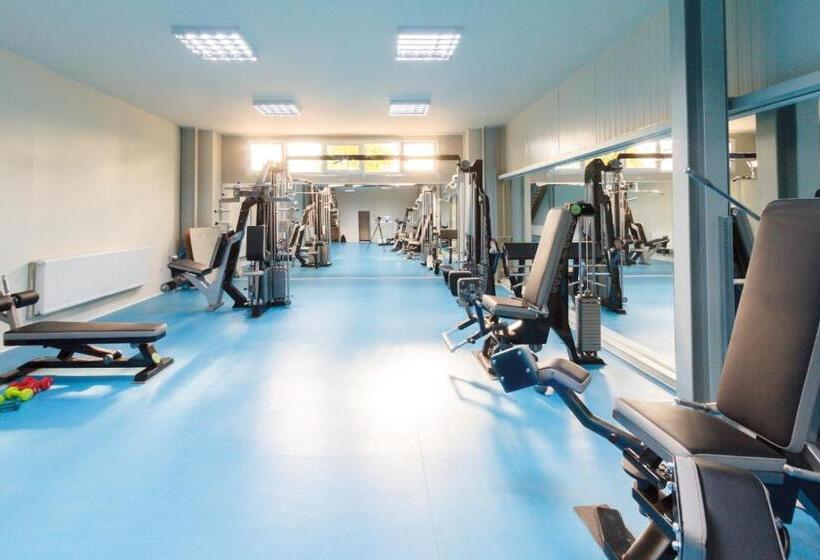 اتاق استاندارد, Ymy Hotels Târgu Jiu