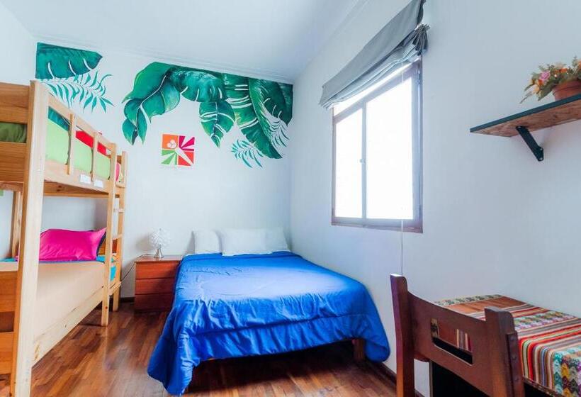 스탠다드 룸, Dragonfly Hostels Miraflores