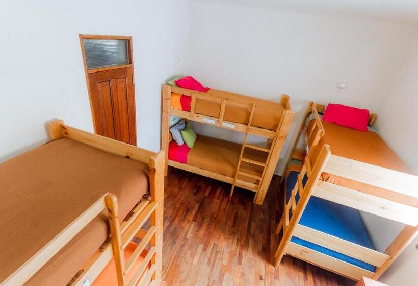 공동 객실, Dragonfly Hostels Miraflores