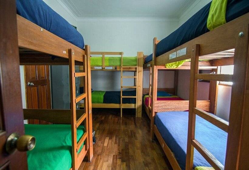 공동 객실, Dragonfly Hostels Miraflores