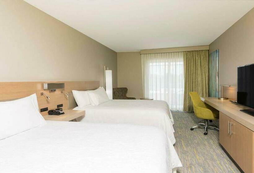 발코니 디럭스 룸, Hilton Garden Inn Grand Rapids East