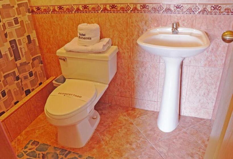 اتاق استاندارد با سرویس بهداشتی مشترک, Bohemia