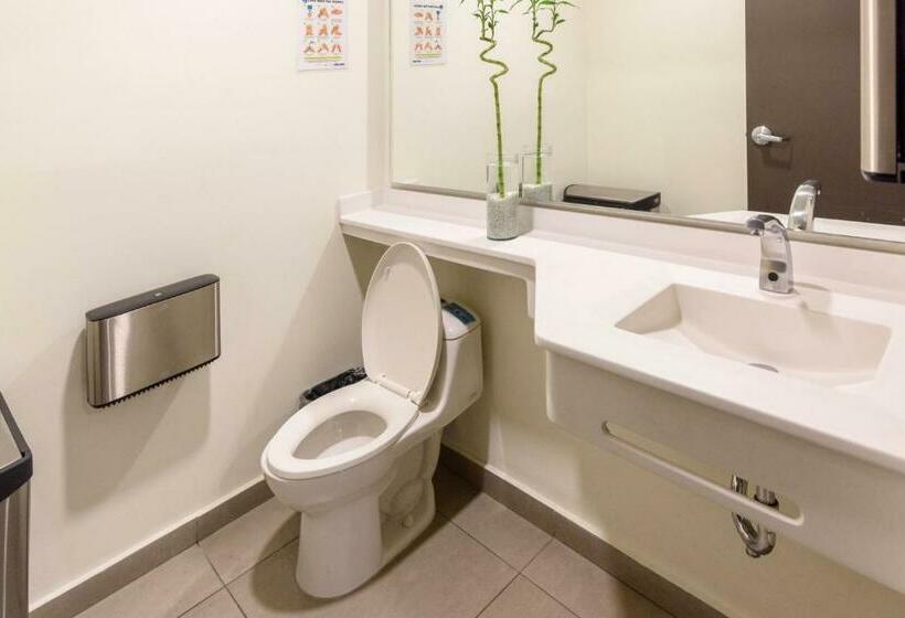 标准间, City Express Junior By Marriott Bogota Aeropuerto