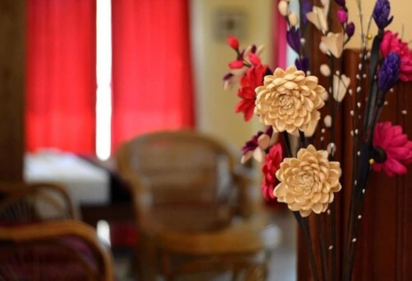 اتاق استاندارد, Mea Culpa Kampot