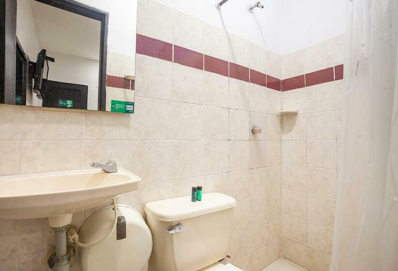 Номер Стандарт, Ayenda Hotel Alejandría