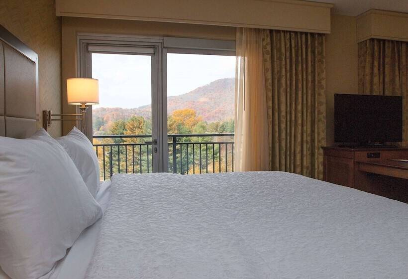 Студия Стандарт Двуспальная Кровать, Hampton Inn & Suites Boone